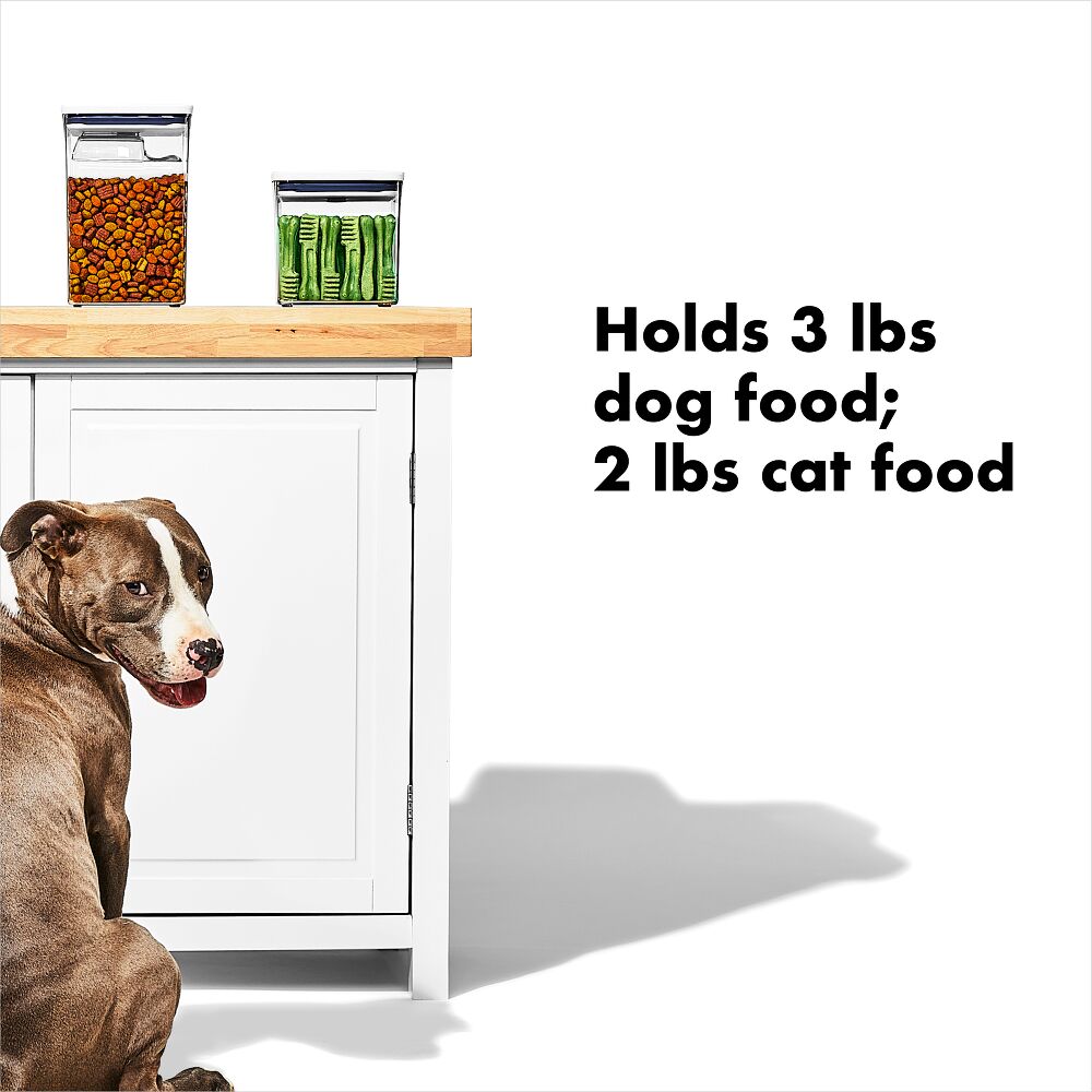OXO Good Grips Pet POP Container – 2.8 Qt/2.6 L I9