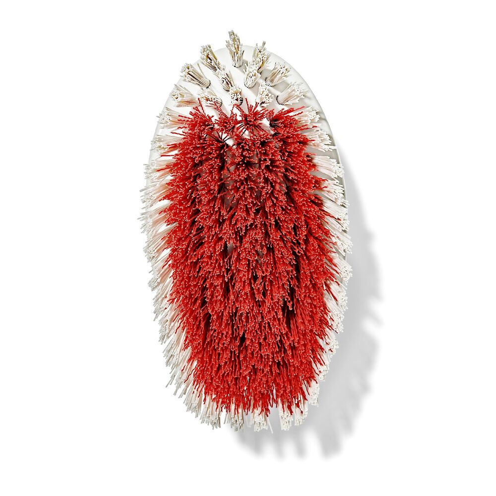 All-Purpose Scrub Brush 2-Pack C6