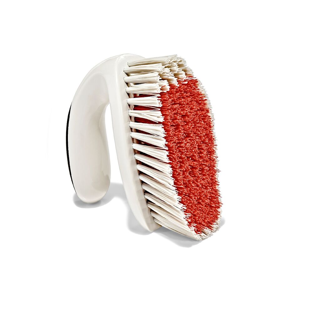 All-Purpose Scrub Brush 2-Pack C6