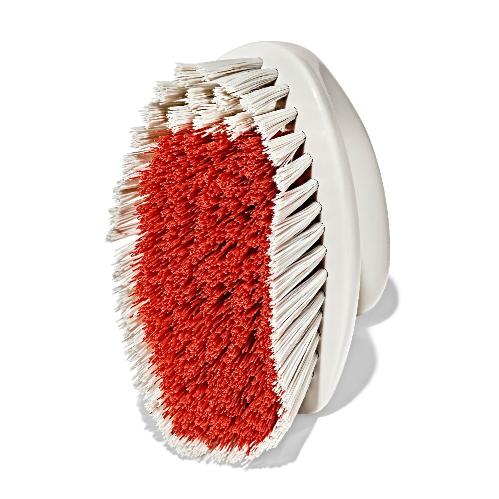 All-Purpose Scrub Brush 2-Pack C6