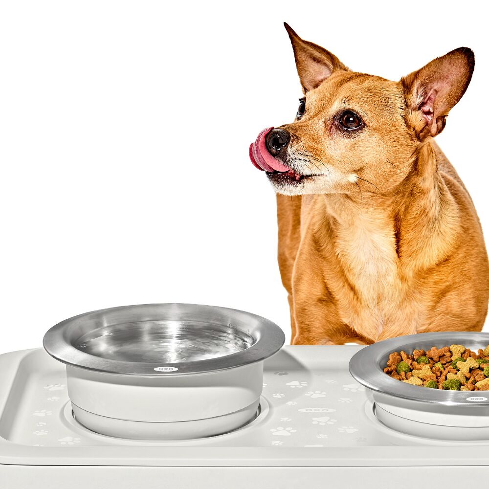 OXO Pet Nonslip Bowl - Large, 4 Cups / 950 mL S0