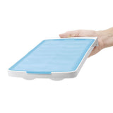 No-Spill Ice Cube Tray P6