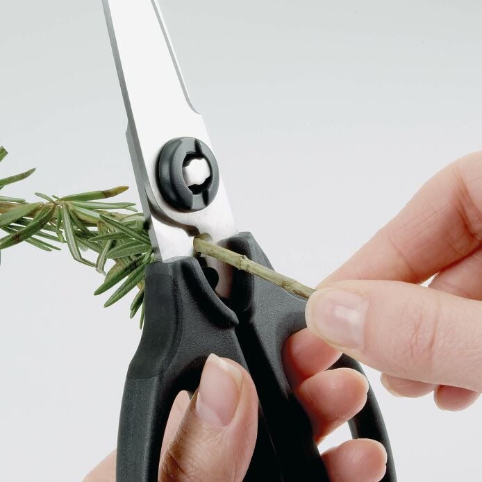 Kitchen And Herb Scissors G2
