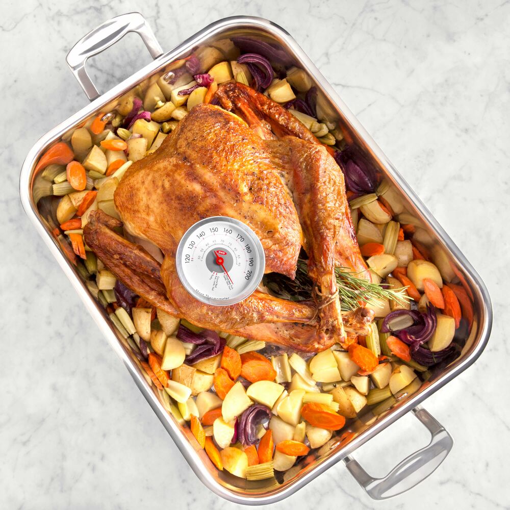 Chef's Precision Leave-In Meat Thermometer E9