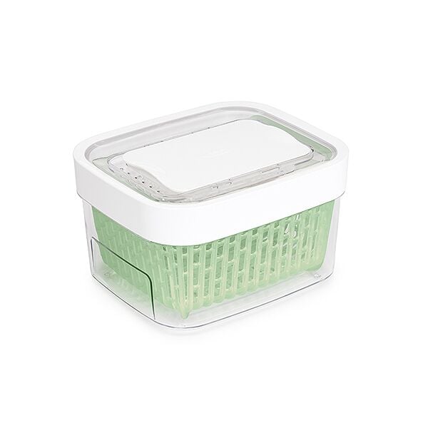 GreenSaver Produce Keeper (1.6 Qt) V8
