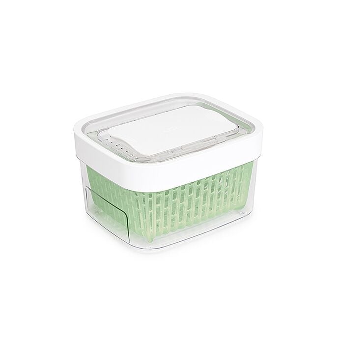 GreenSaver Produce Keeper (1.6 Qt) V8