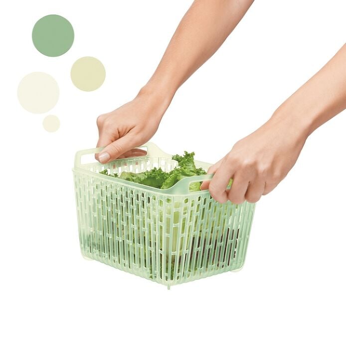 GreenSaver Produce Keeper (1.6 Qt) V8