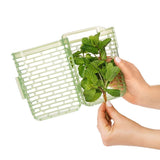 GreenSaver Herb Keeper - Small W3