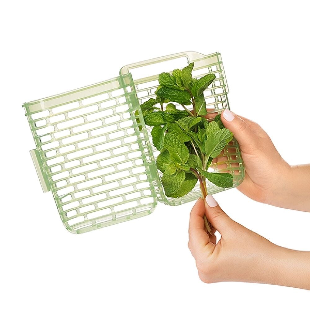 GreenSaver Herb Keeper - Small W3