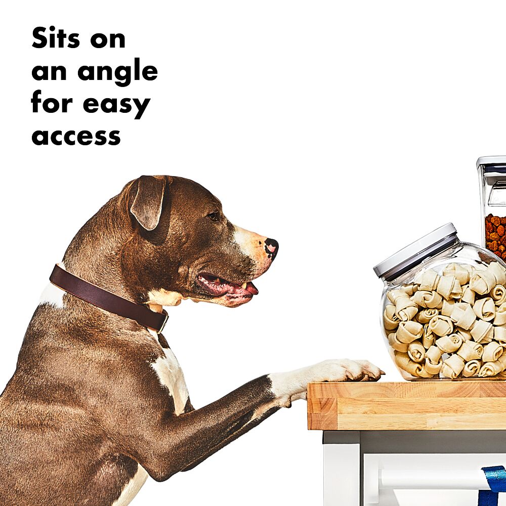 OXO Good Grips Pet POP Container – 3.0 Qt/2.8 L F2