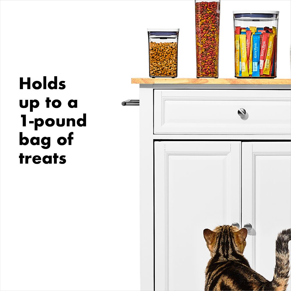 OXO Good Grips Pet POP Container – 1.1 Qt/1 L J3