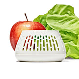 Produce Saver Crisper Drawer Insert  2-Pack F4
