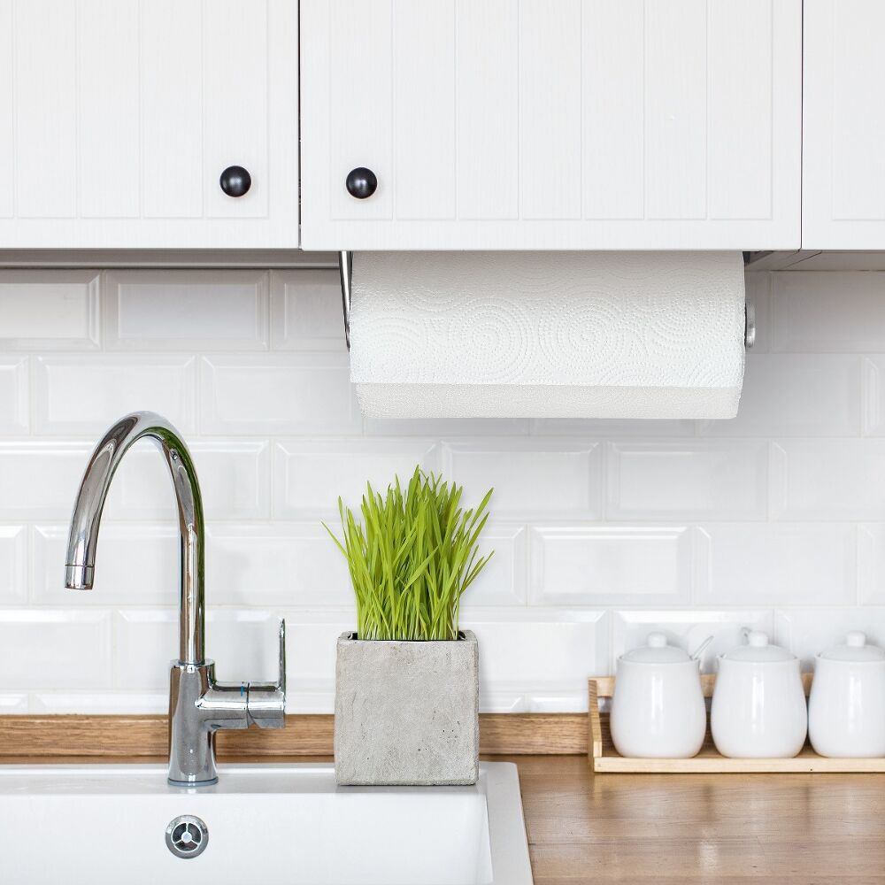 Steady Mounted Paper Towel Holder C2