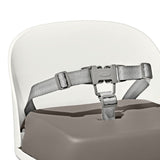 Perch Booster Seat with Straps R1