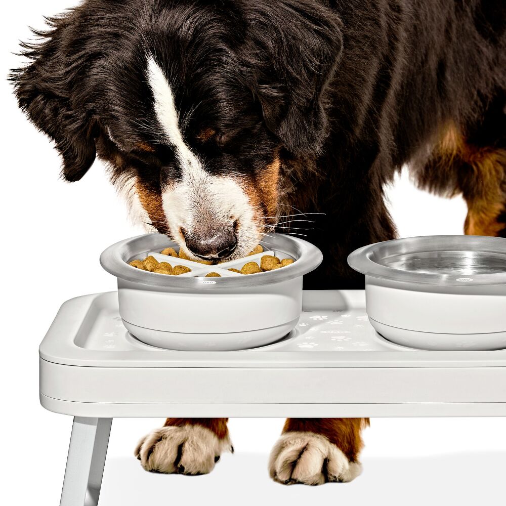 OXO Pet Easy-Clean Slow Feeder - Large, 4 Cups/950 ml I0