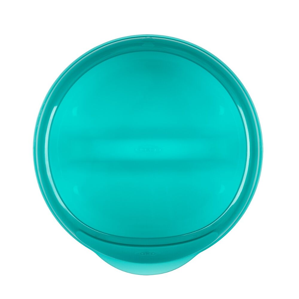 Divided Feeding Dish with Removable Ring R8