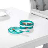 Divided Feeding Dish with Removable Ring R8